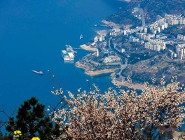 2023年重庆旅游收入多少亿(2023年五一假期重庆旅游收入)
