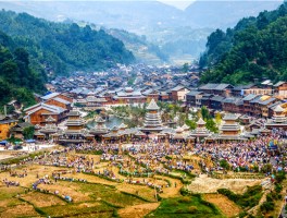关于如何发展乡村旅游远程教育记录的信息