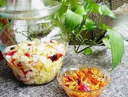四川泡菜的做法(四川泡菜的做法和配方)