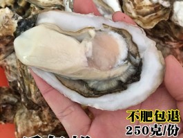 烧烤的大生蚝是哪种品种图片及价格表(烧烤的大生蚝是哪种品种图片及价格表视频)