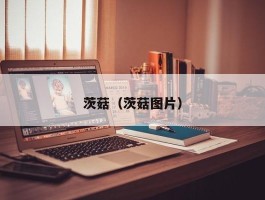 茨菇（茨菇图片）