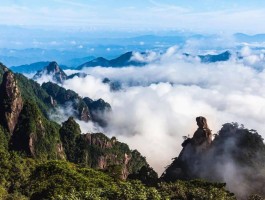 庐山国家5a级景区旅游资讯(庐山国家5a级景区旅游资讯电话)