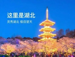 全国旅游资讯(全国旅游资讯服务电话)