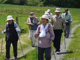 有过缓刑记录日本能旅游吗的简单介绍