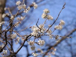 娱乐消息树(娱乐信息分享发布平台)