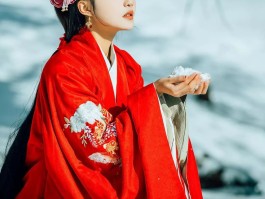 红昭愿红色汉服人像摄影作品的简单介绍