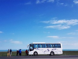 青藏旅游拍照技巧与方法视频(青藏旅游拍照技巧与方法视频教程)
