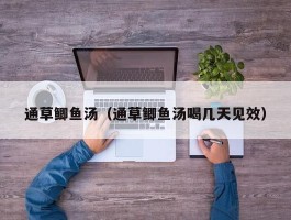 通草鲫鱼汤（通草鲫鱼汤喝几天见效）