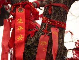 过年期间去哪里旅游合适(过年期间去哪里旅游合适一点)