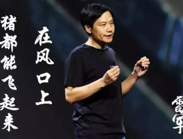关于如何解读2023雷军年度演讲的预热海报上的代码?雷军的代码能力如何？的信息