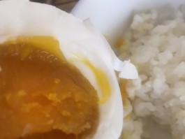 鹅蛋的做法(牛奶蒸鹅蛋的做法)