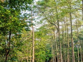 各种景点的拍照技巧图片大全(各种景点的拍照技巧图片大全高清)