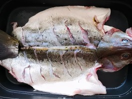 海鲈鱼的做法大全(海鲈鱼的做法大全视频教程)