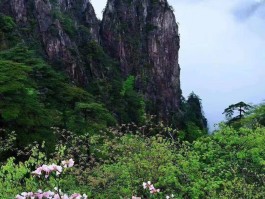 2023黄山旅游春节免费吗现在(2023黄山旅游春节免费吗现在还能去吗)