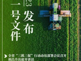 2023年元旦文化旅游综述报告(2023年元旦文化旅游综述报告怎么写)