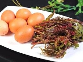 香椿芽的营养价值(香椿芽的营养价值功效)