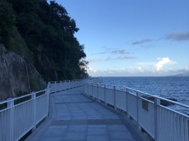 不开心的时候真的会想去看海吗?(不开心的时候真的会想去看海吗英语)