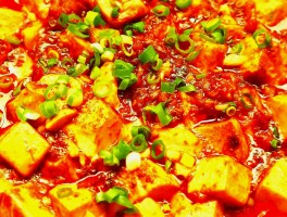 麻婆豆腐的做法家常(麻婆豆腐的做法家常菜简单的做法)