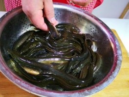 泥鳅钻豆腐的做法视频(泥鳅钻豆腐的做法视频窍门)