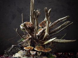 静物摄影作品技巧(静物摄影技巧入门篇口诀)