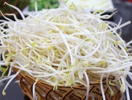 绿豆芽的营养价值(绿豆芽的营养价值和药用价值)