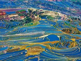 中越双语旅游资讯(中越双语旅游资讯官网)
