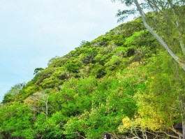 暑假去哪里旅游好玩海边(暑假去哪里旅游好玩海边游)