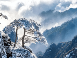 关于2023年1月哪天适合出门旅游呢的信息