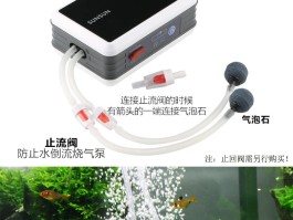 古时候人们没有过滤和氧气泵是如何养金鱼的？(古代人养鱼没有过滤,没有打氧,怎么把鱼养好?)