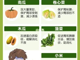 什么食物比较养胃(什么食物比较养胃护胃)