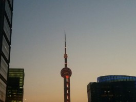 浦东新区旅游资讯(浦东新区旅游资讯网站)