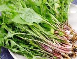 野菜的营养价值(地瓜皮野菜的营养价值)