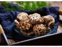 牛奶炖香菇鼻炎(香菇牛奶汤好处和坏处)