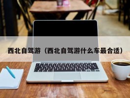 西北自驾游（西北自驾游什么车最合适）