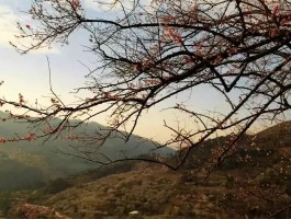 福州石山旅游记录(福州石山旅游记录查询)