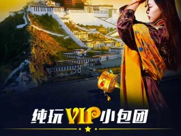 19年旅游记录(个人旅游记录视频)