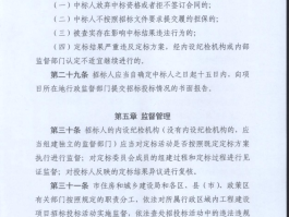 开标前一晚，投标人都在想什么？(开标前一晚,投标人都在想什么问题)