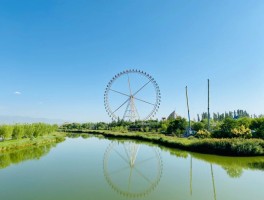 银川旅游资讯(银川旅游资讯网官网)