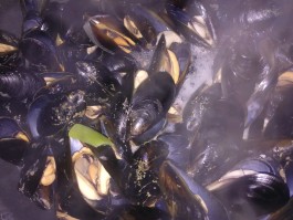 海虹的做法(海虹的做法蒸几分钟)