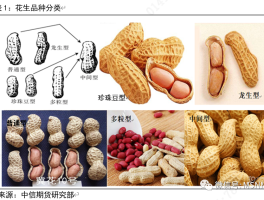 花生米的营养价值(猪爪炖花生米的营养价值)