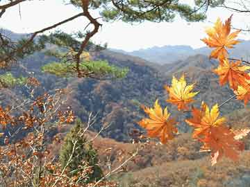8月7日三大指数集体低开，证券、非银金融、房地产等板块指数跌幅居前，如何看待今日行情？的简单介绍